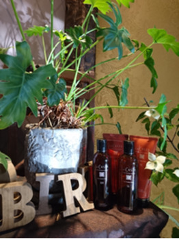 オーガニック SPA part1…_20180518_1